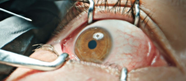 Forbidden Floor - The Home?>